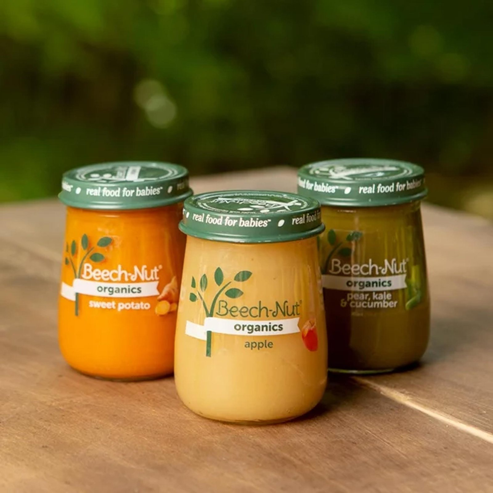 Beech-Nut Organics Stage 1 Organic Baby Food, Pumpkin, 4 oz Jar - Image 4